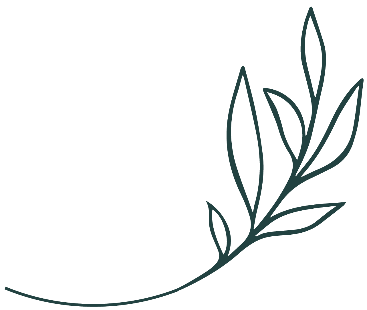 Feuille_verte